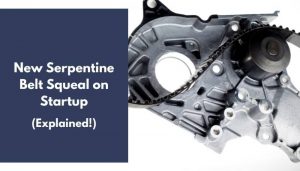 New Serpentine Belt Squeal on Startup: What to Do? (Explained)